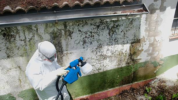 Trusted Mold Testing service in Emerson, GA - Cheap Mold Removal
